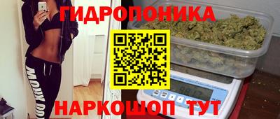 СК Изобильный