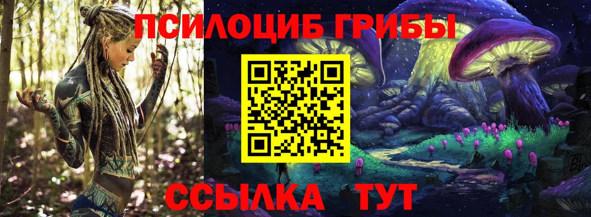 Лениногорск  Галлюциногенные грибы мицелий  Вход с VPN 