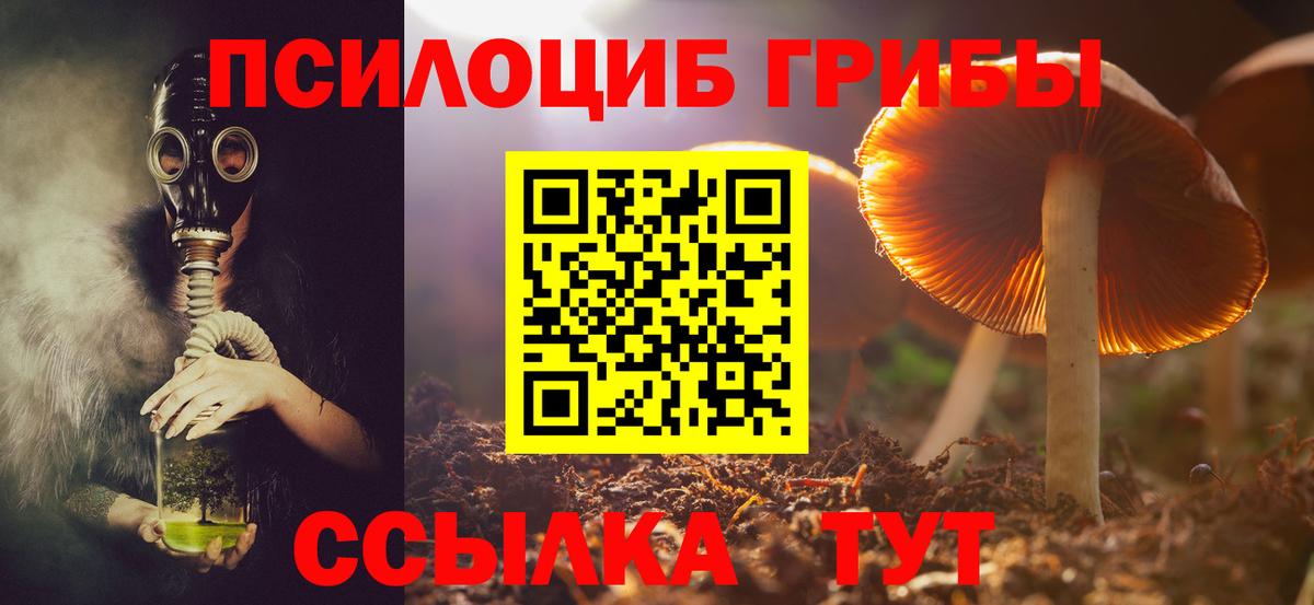 Псилоцибиновые грибы Magic Shrooms Лениногорск